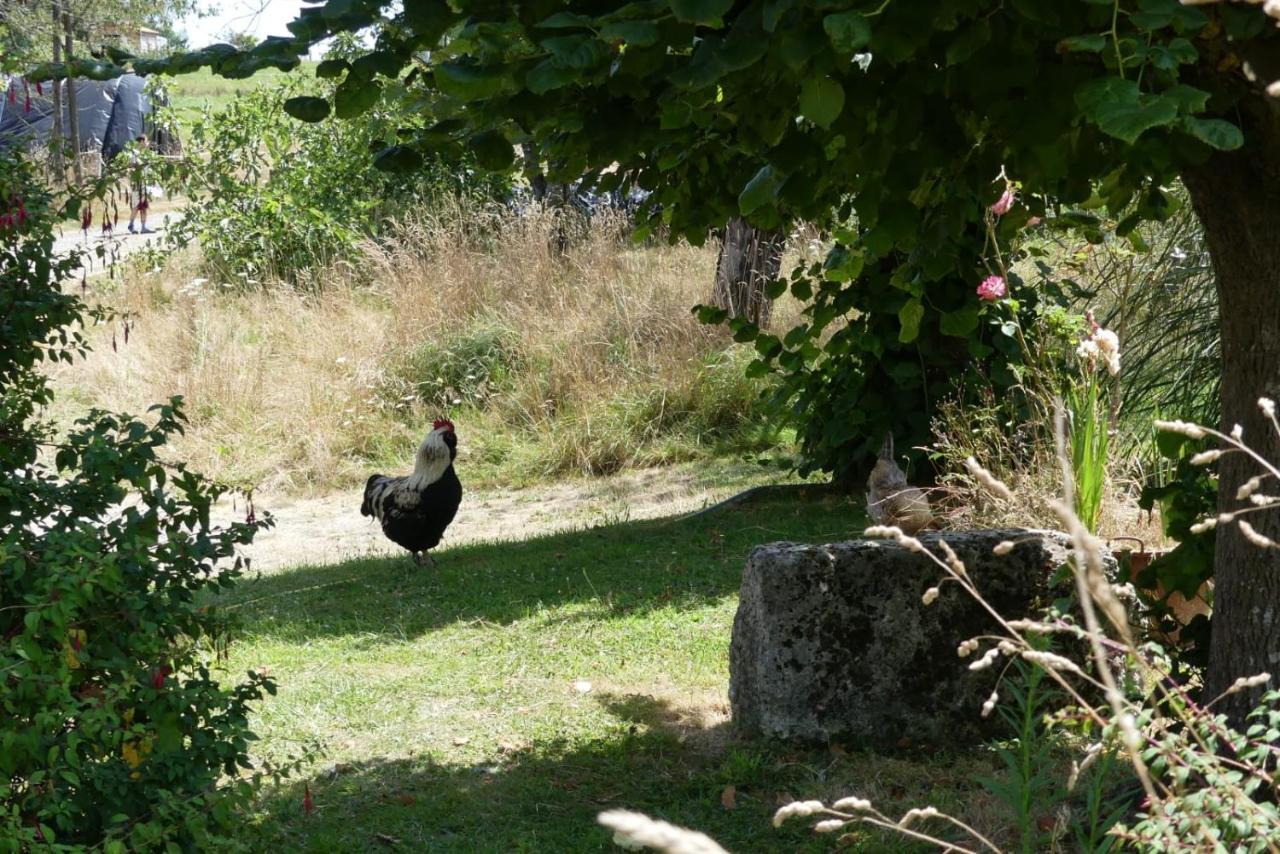 Maison Du Cheval Acomodação com café da manhã Chalais  Exterior foto